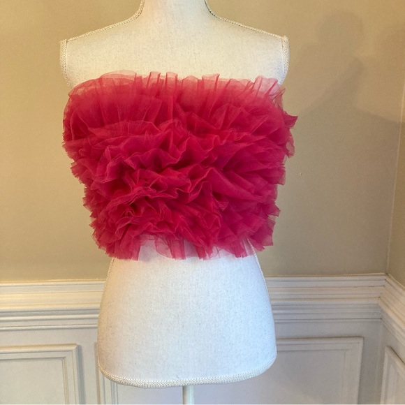 ZARA Dark Fuschia Pink Layered Ruffle Tulle Strapless Crop Tube Top - Picture 2 of 12
